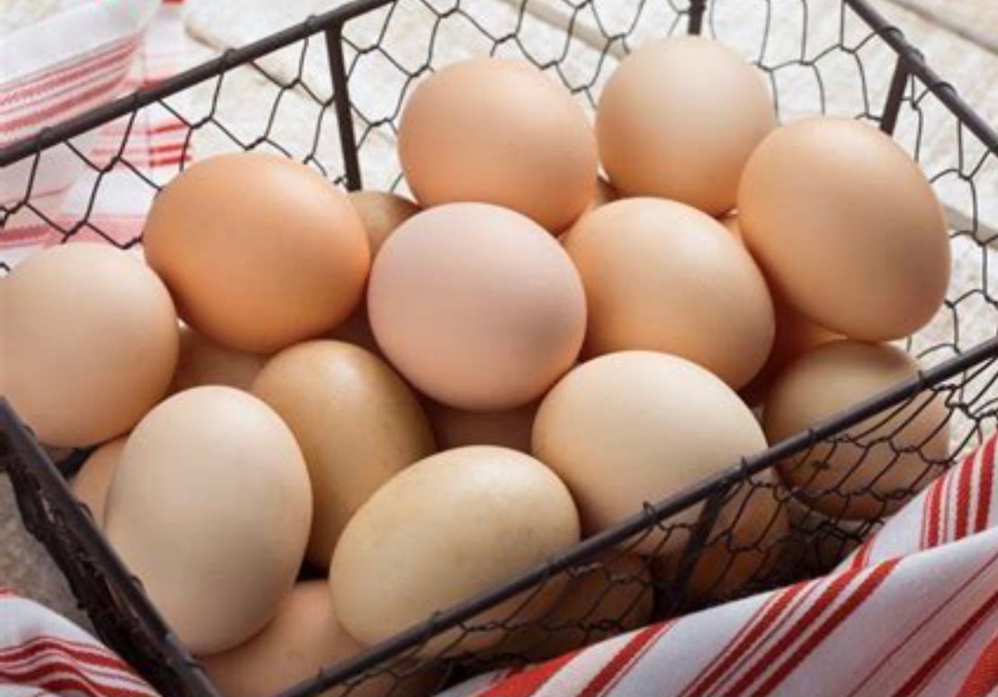 Fertile Eggs for Hatching on Farmish