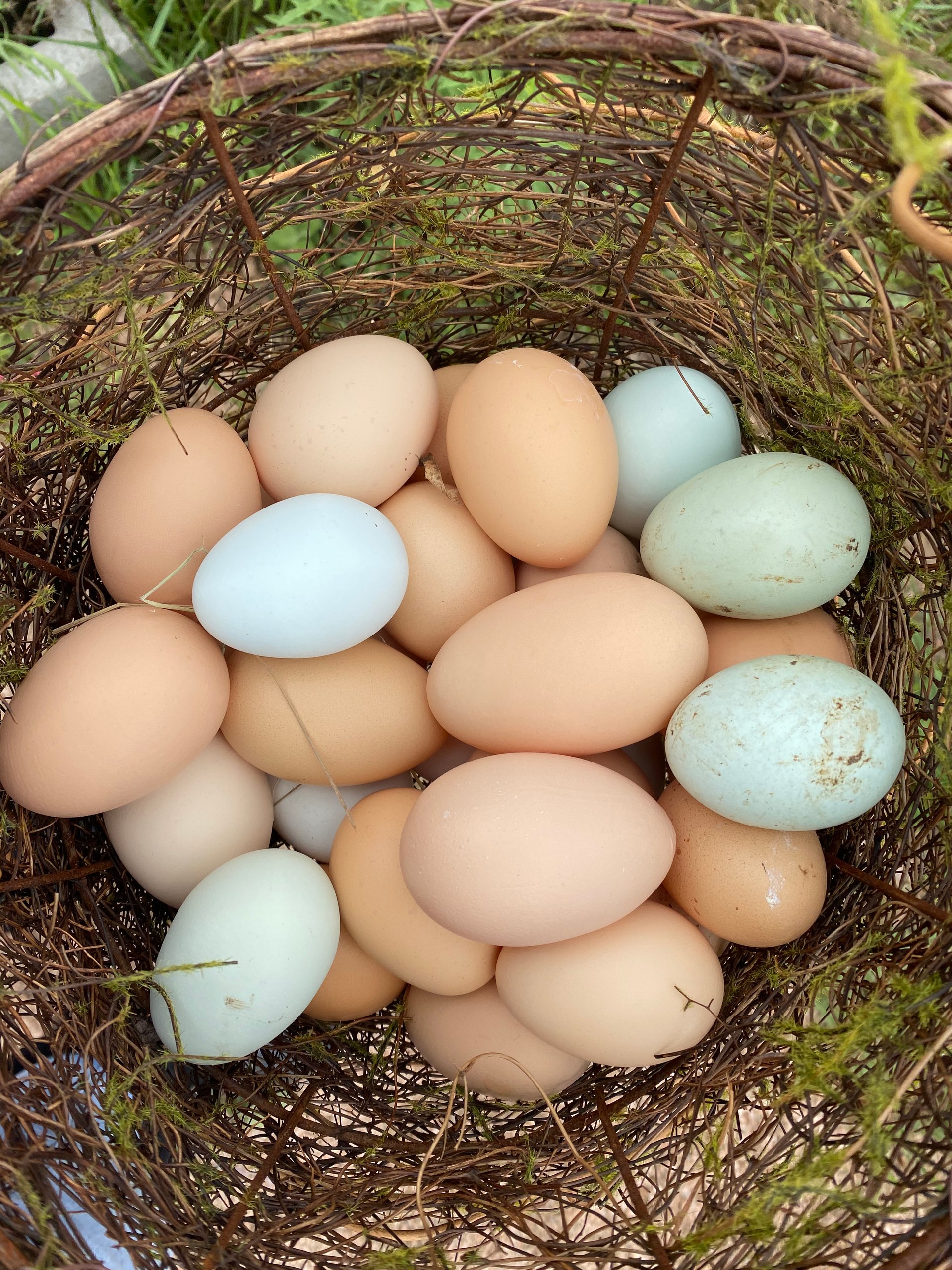 Farm fresh eggs on Farmish