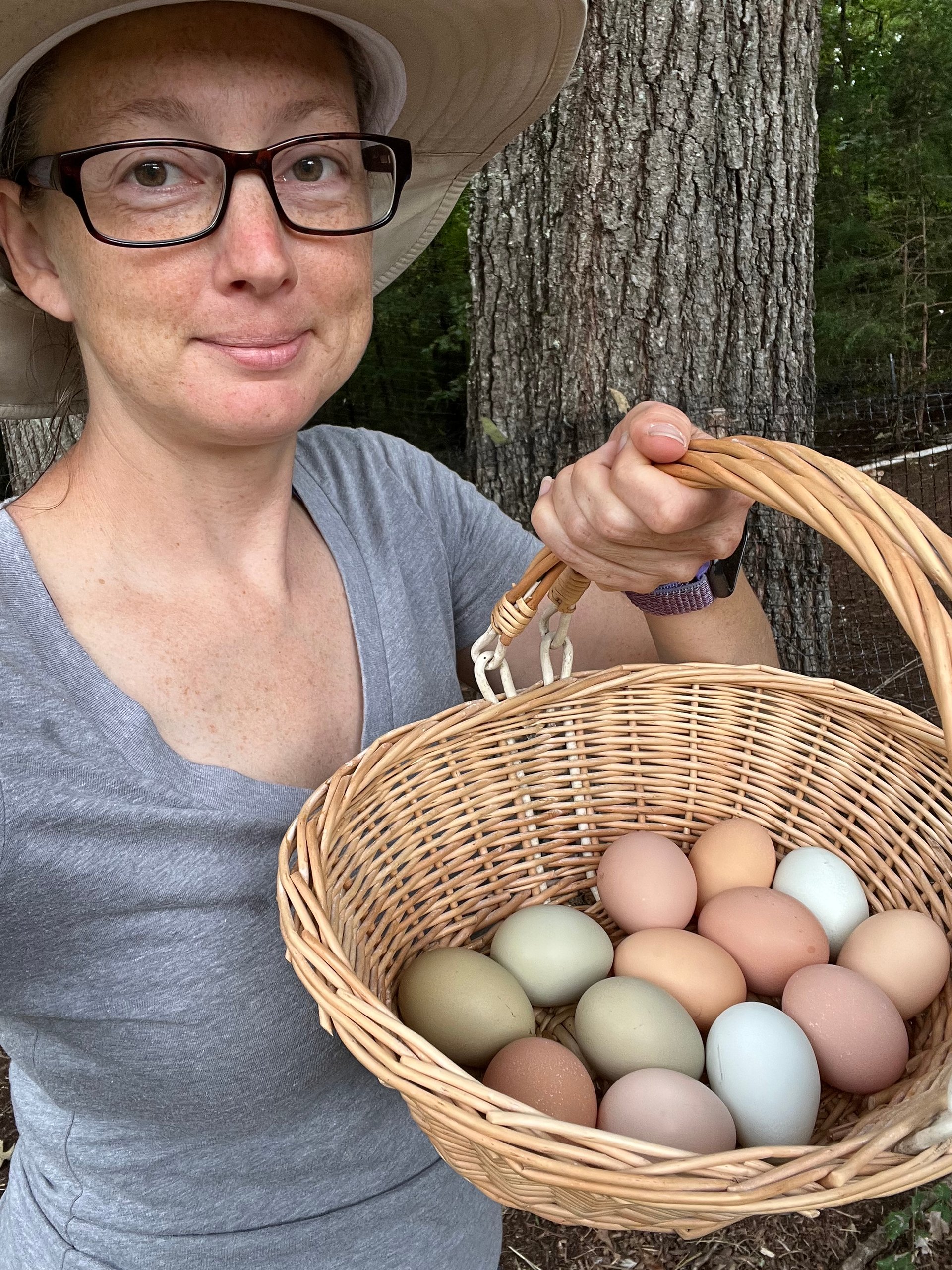 Farm Fresh Eggs On Farmish 