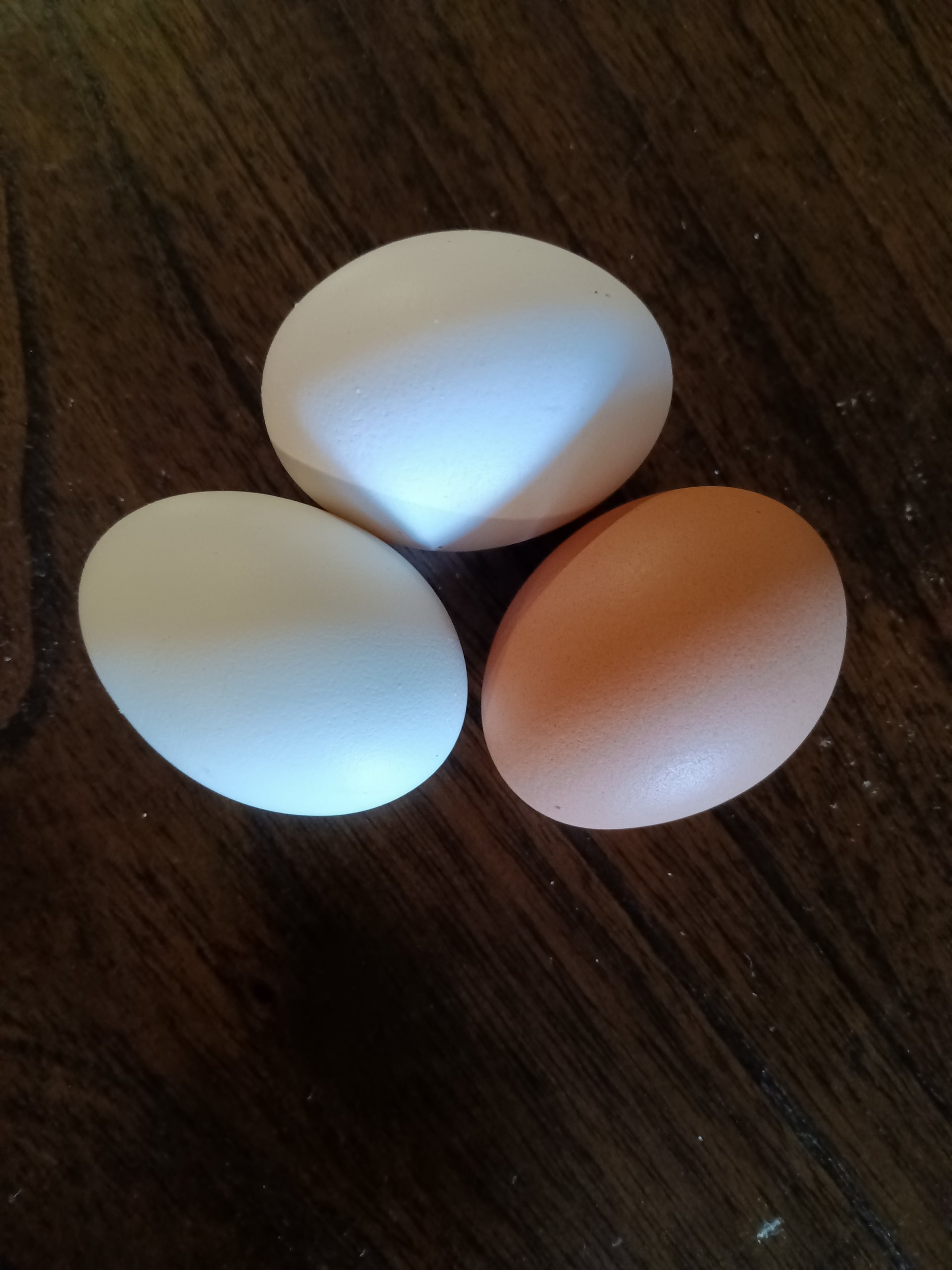 Organic Nest Run Eggs on Farmish