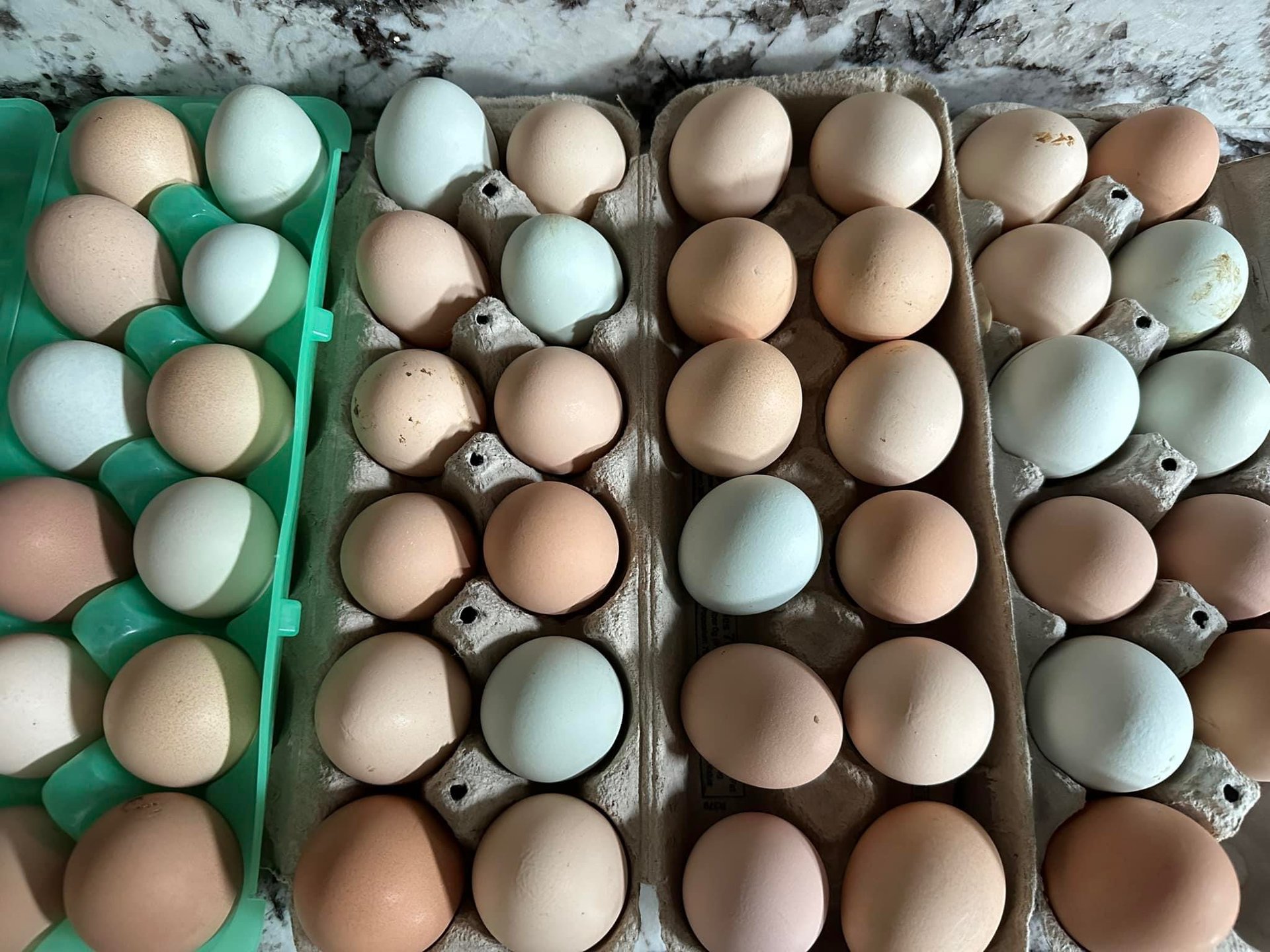 Farm eggs, fresh and unwashed on Farmish