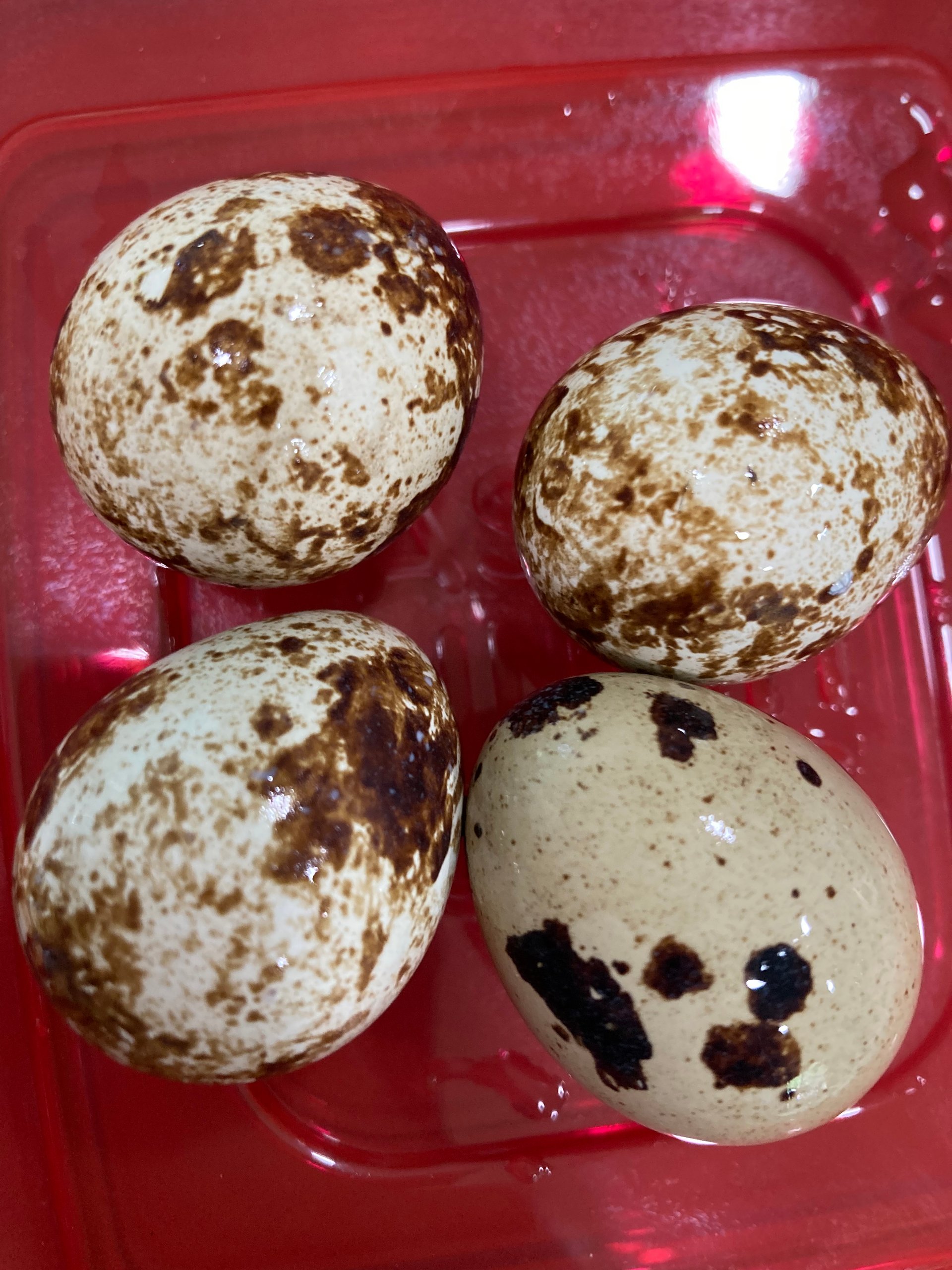 Quail Eggs on Farmish