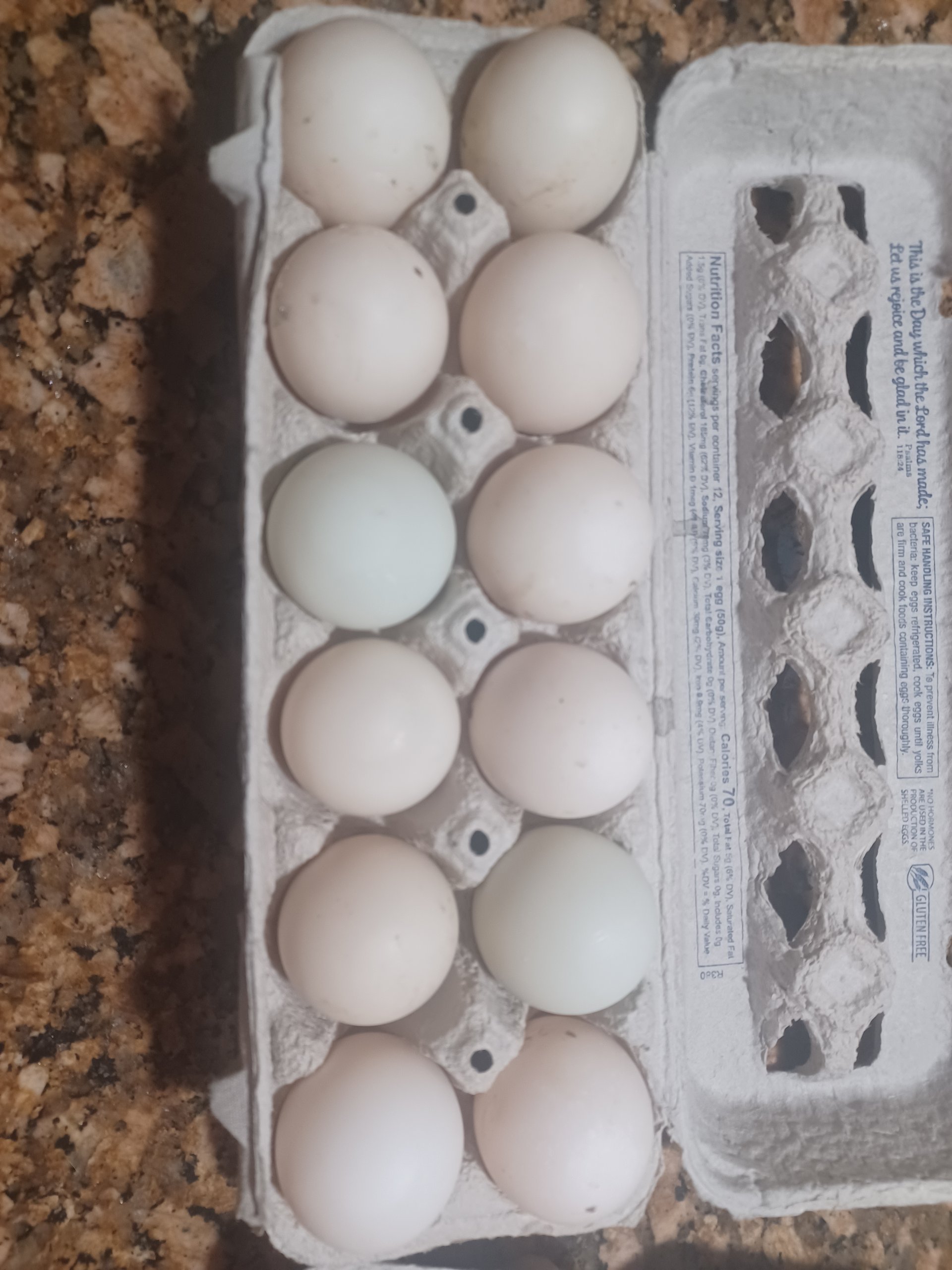 farm-fresh-duck-eggs-on-farmish