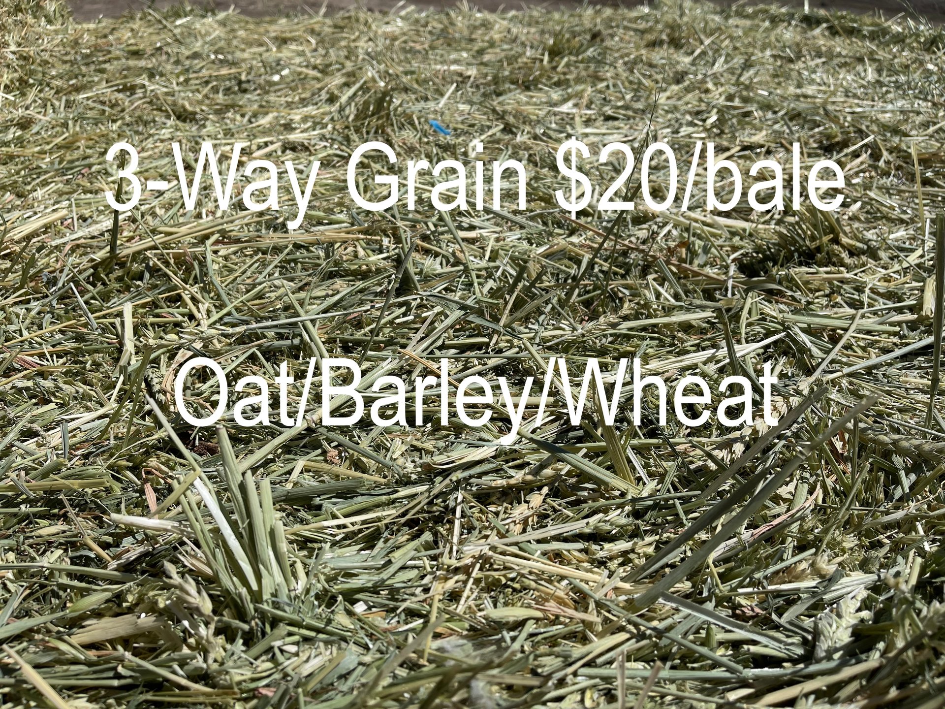 Hay!!! 100lb 3-string bales on Farmish