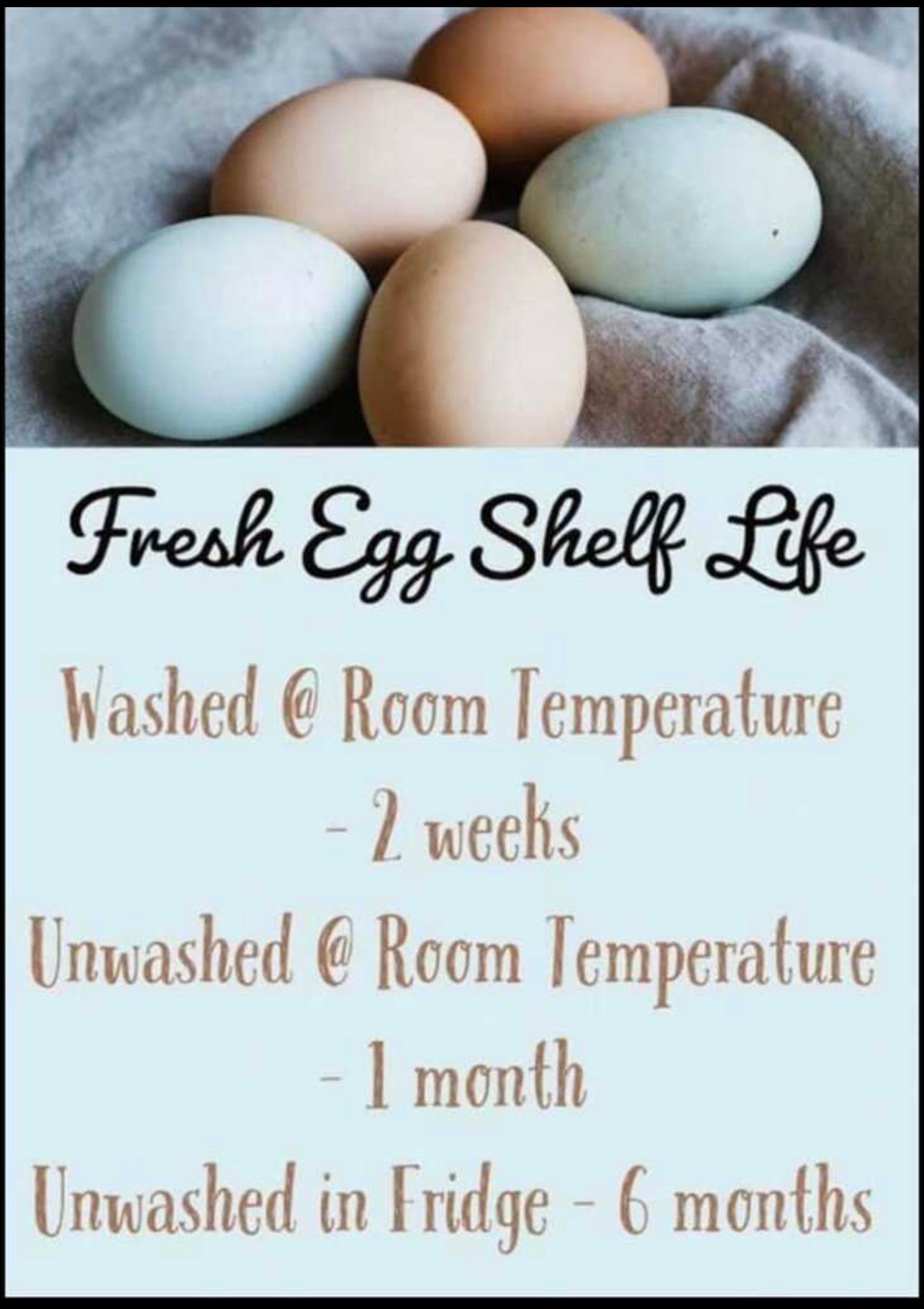 Farm Fresh Eggs unwashed on Farmish