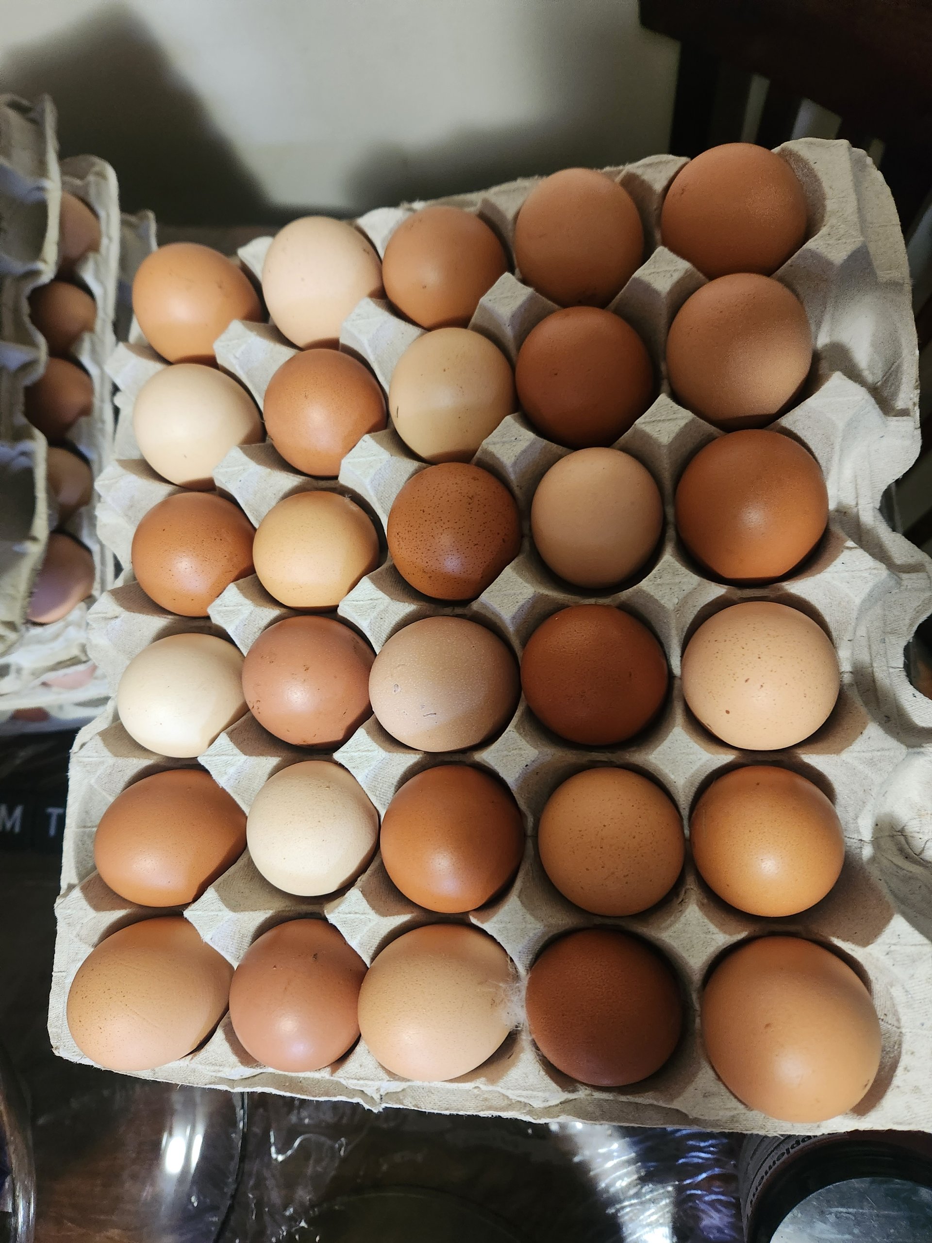 Farm Fresh Organic Eggs on Farmish