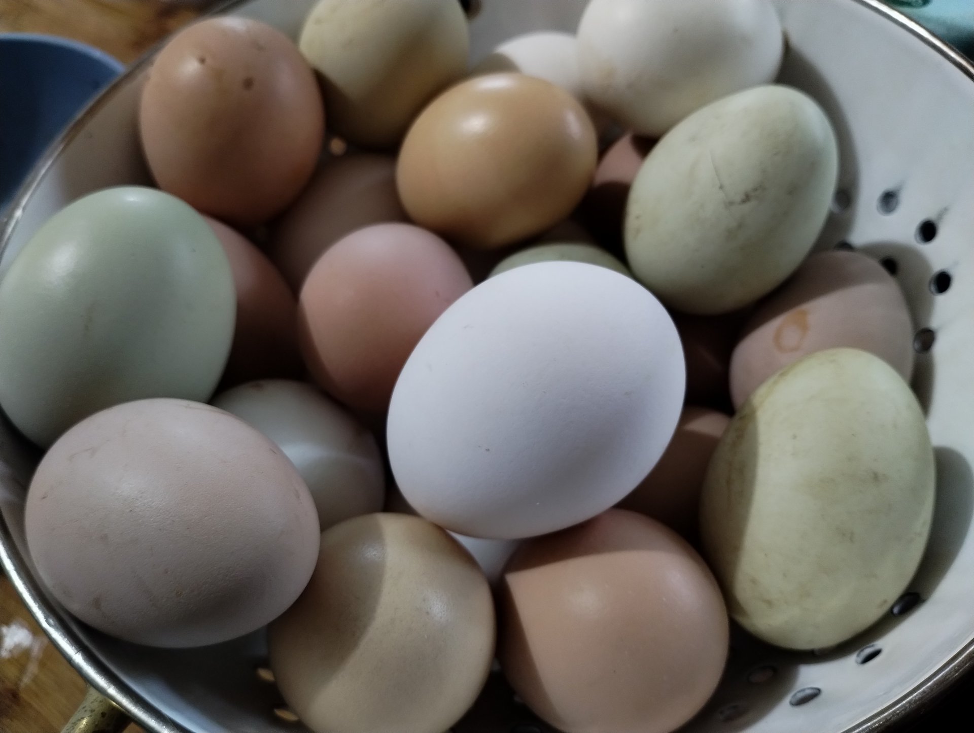 fresh unwashed eggs on Farmish