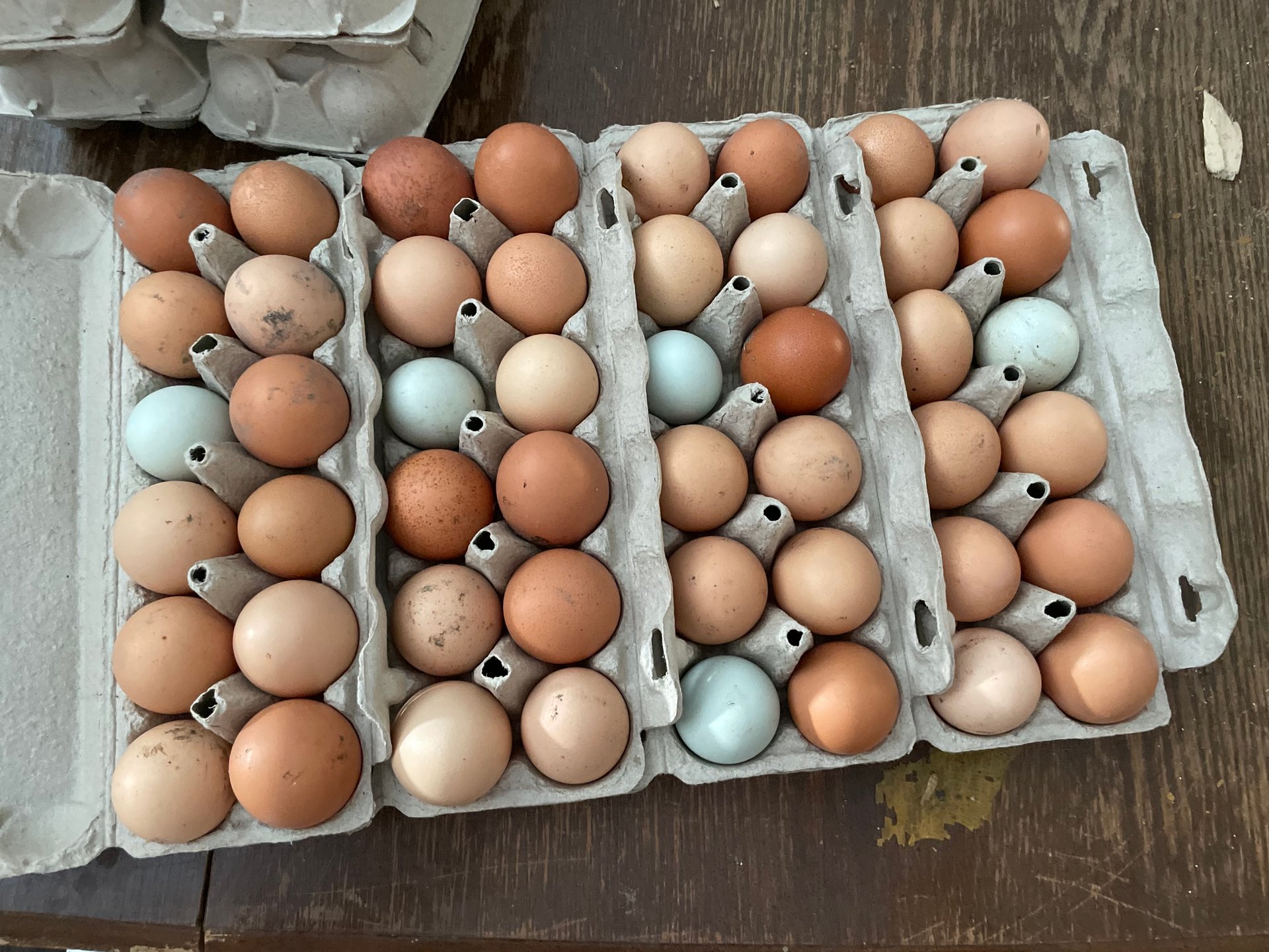 Fresh eggs unwashed eggs on Farmish