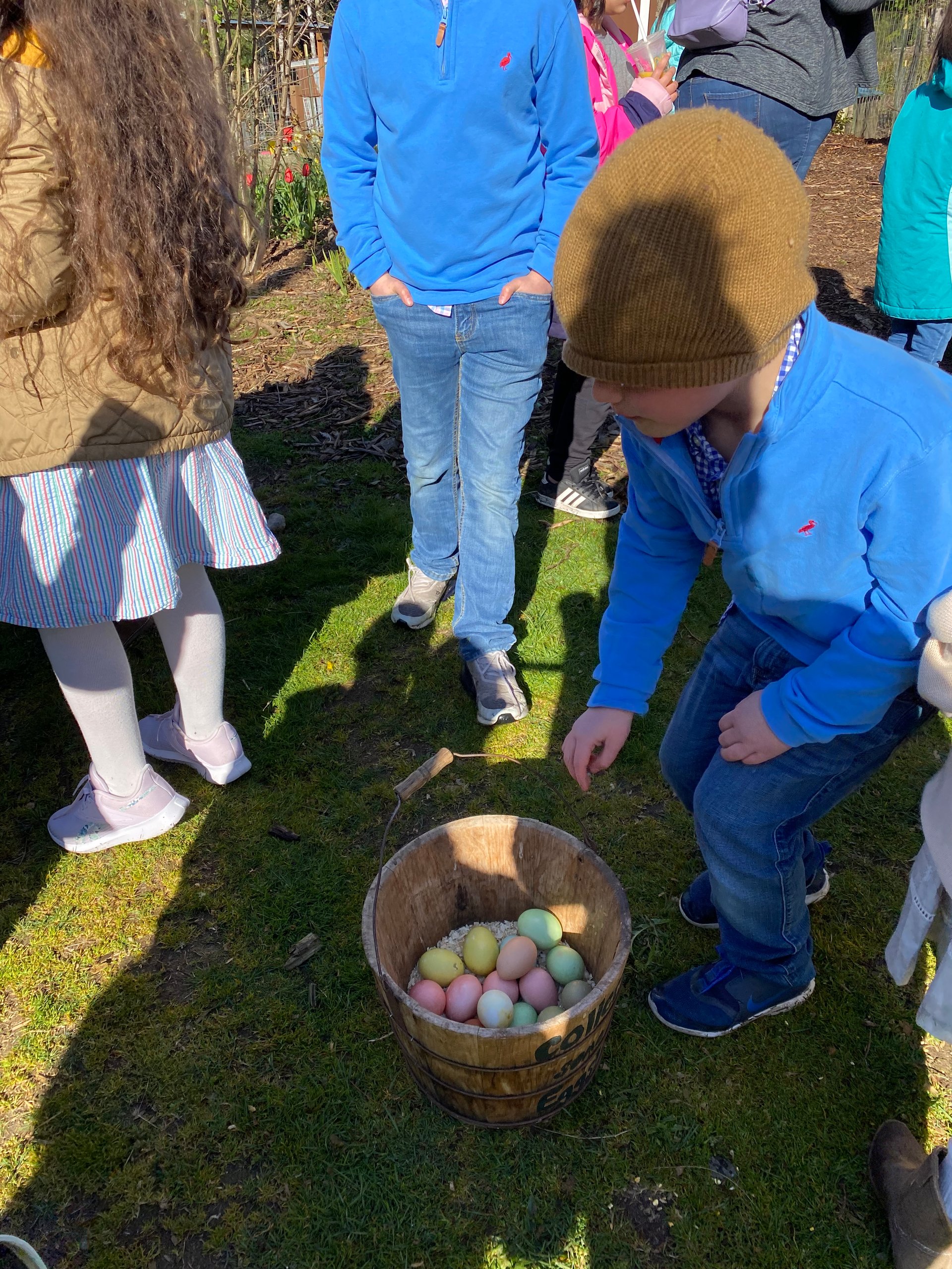eggs-on-farmish