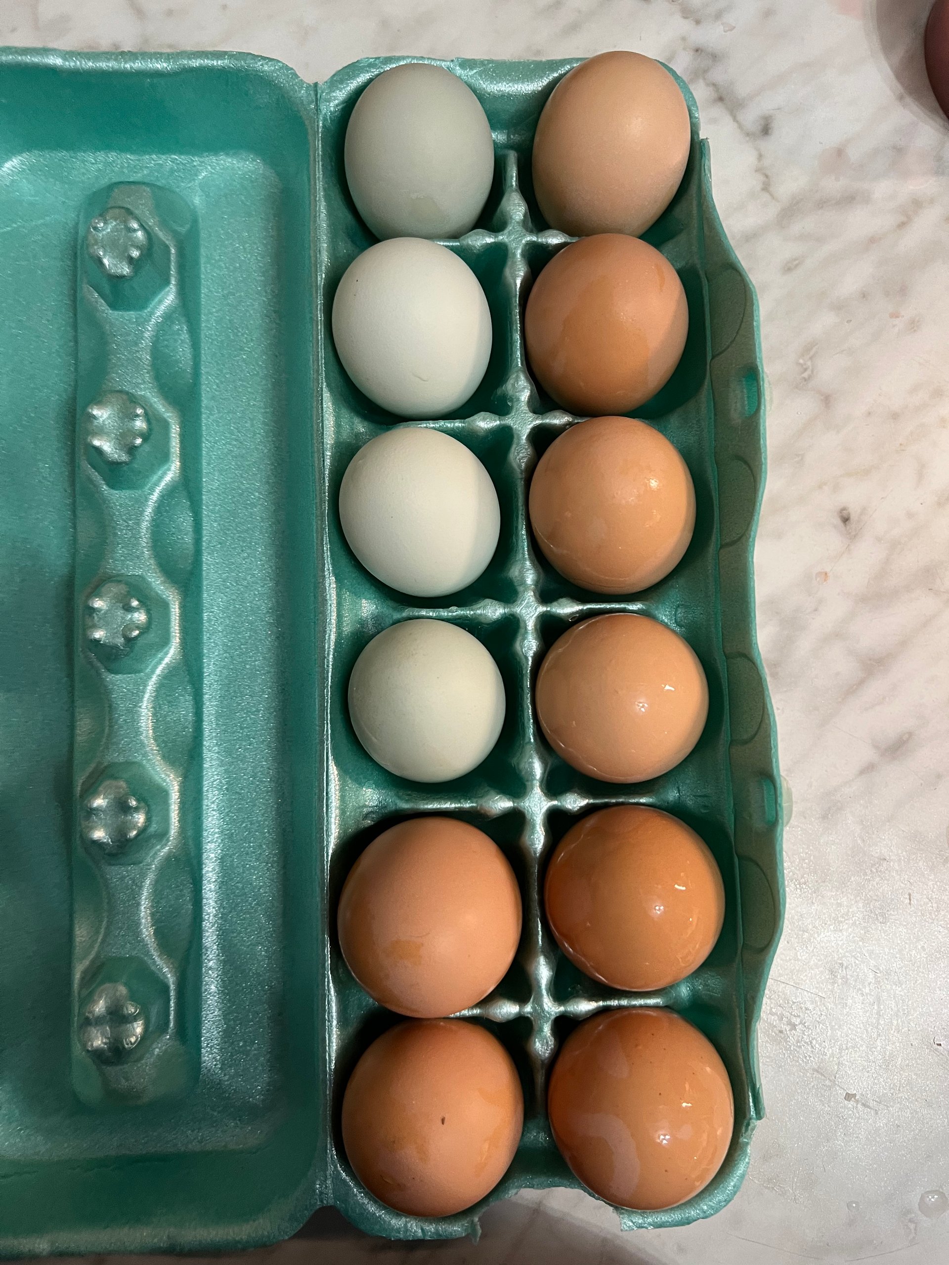 Dozen Free Range Eggs on Farmish