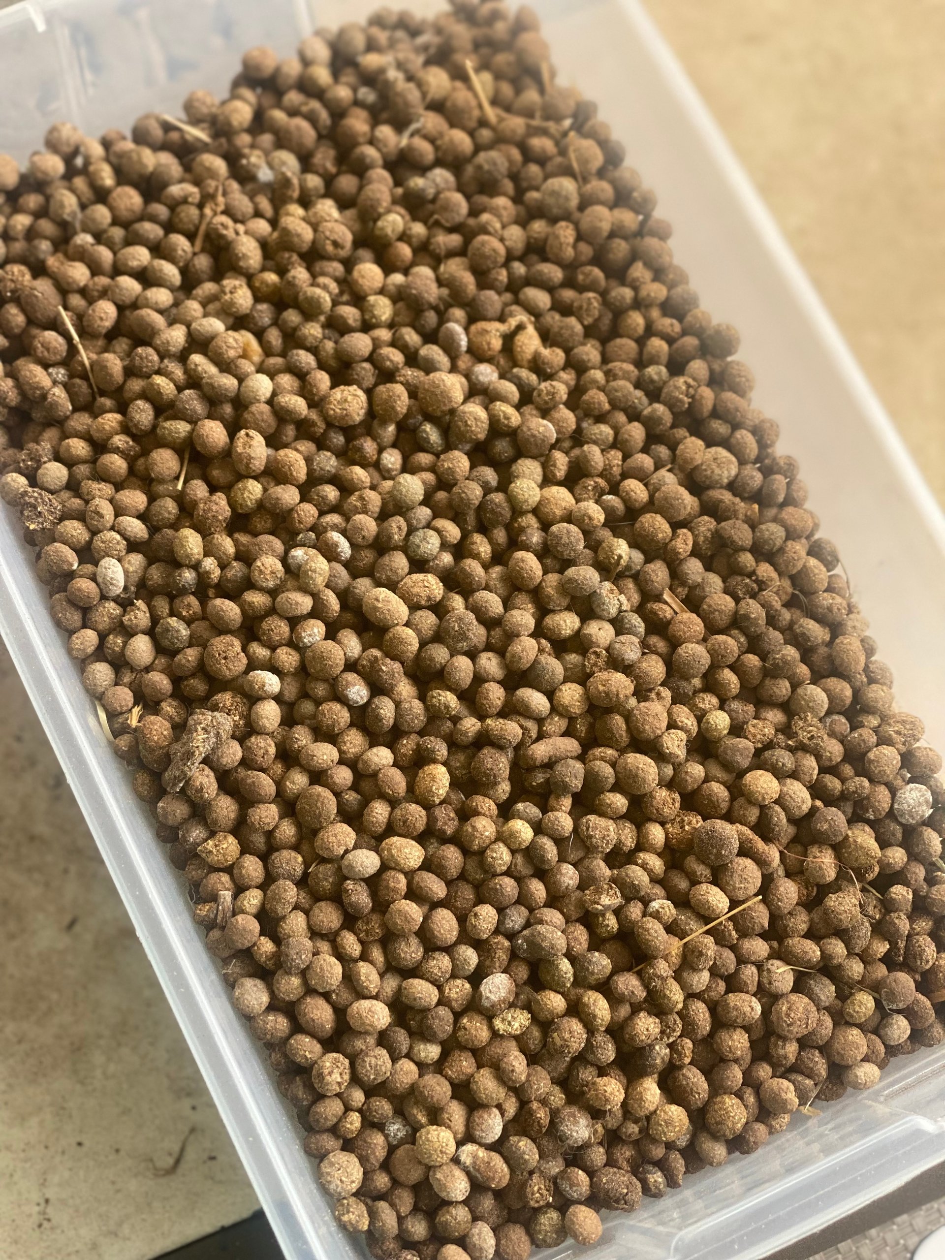 Rabbit pellet fertilizer on Farmish