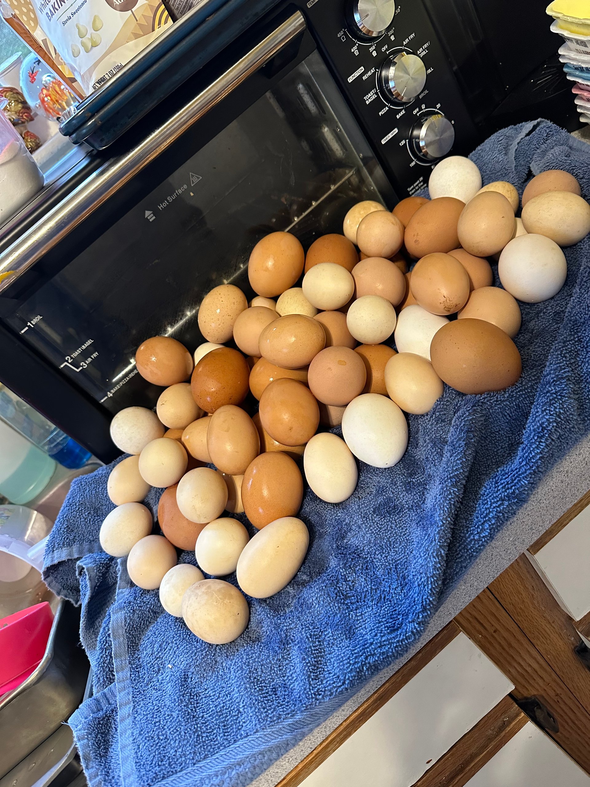 1 dozen Farm Fresh Eggs on Farmish