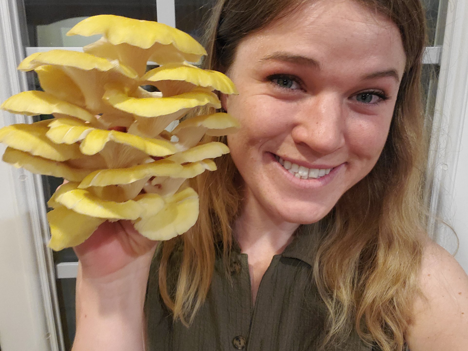 Introduction to Mushroom Growing and Foraging Classes on Farmish