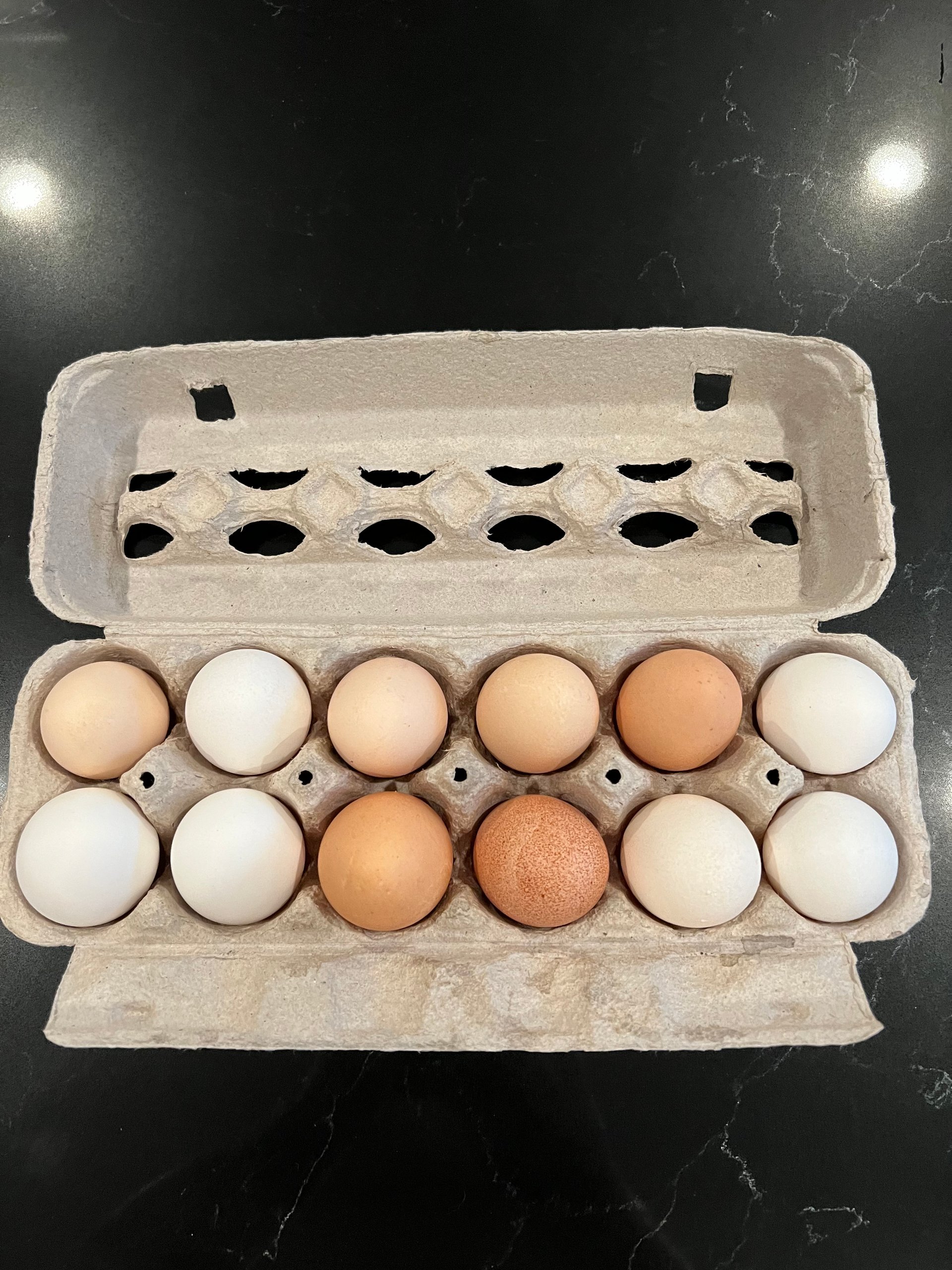 Farm Fresh Eggs on Farmish