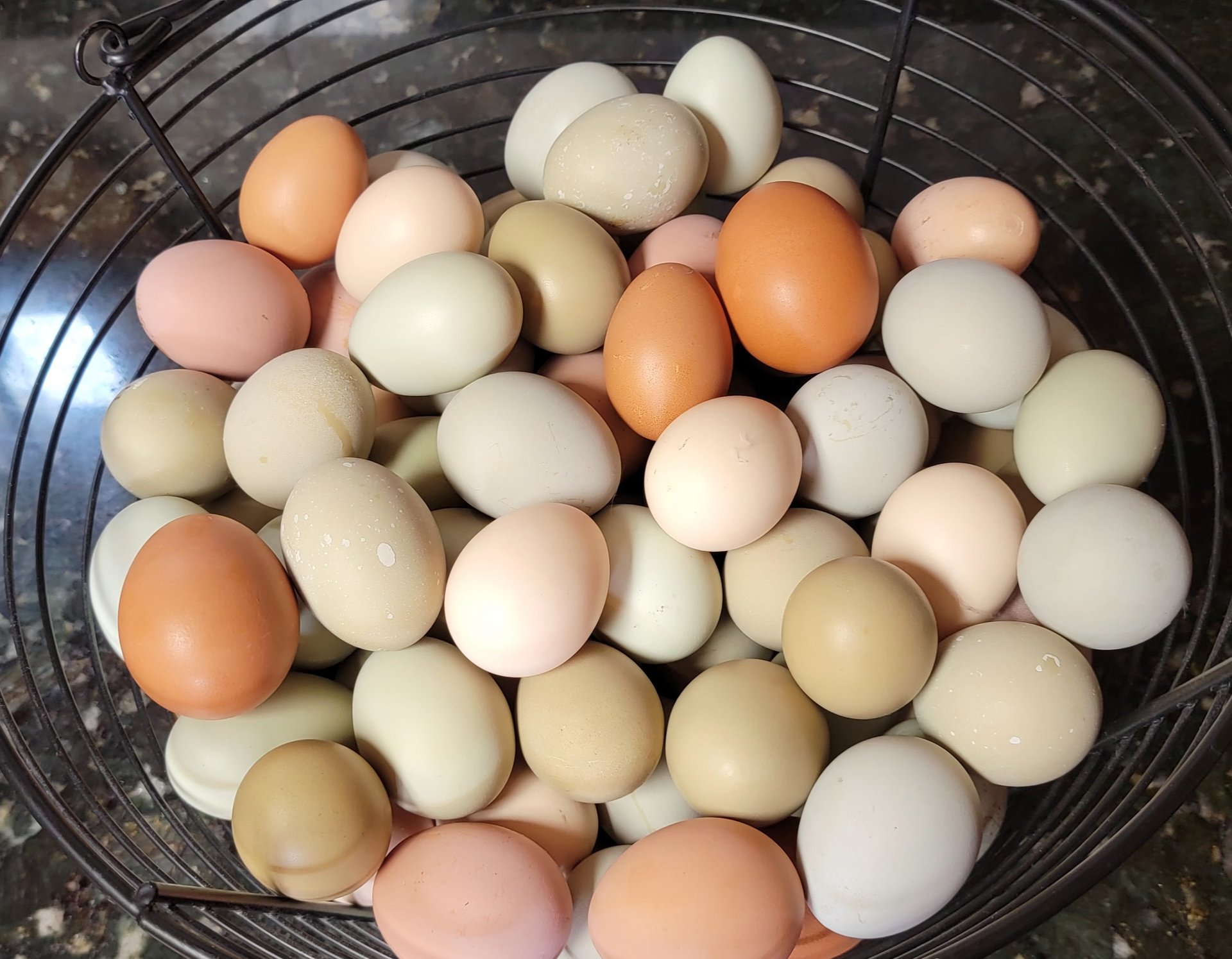 Free range, unwashed, farm fresh eggs on Farmish