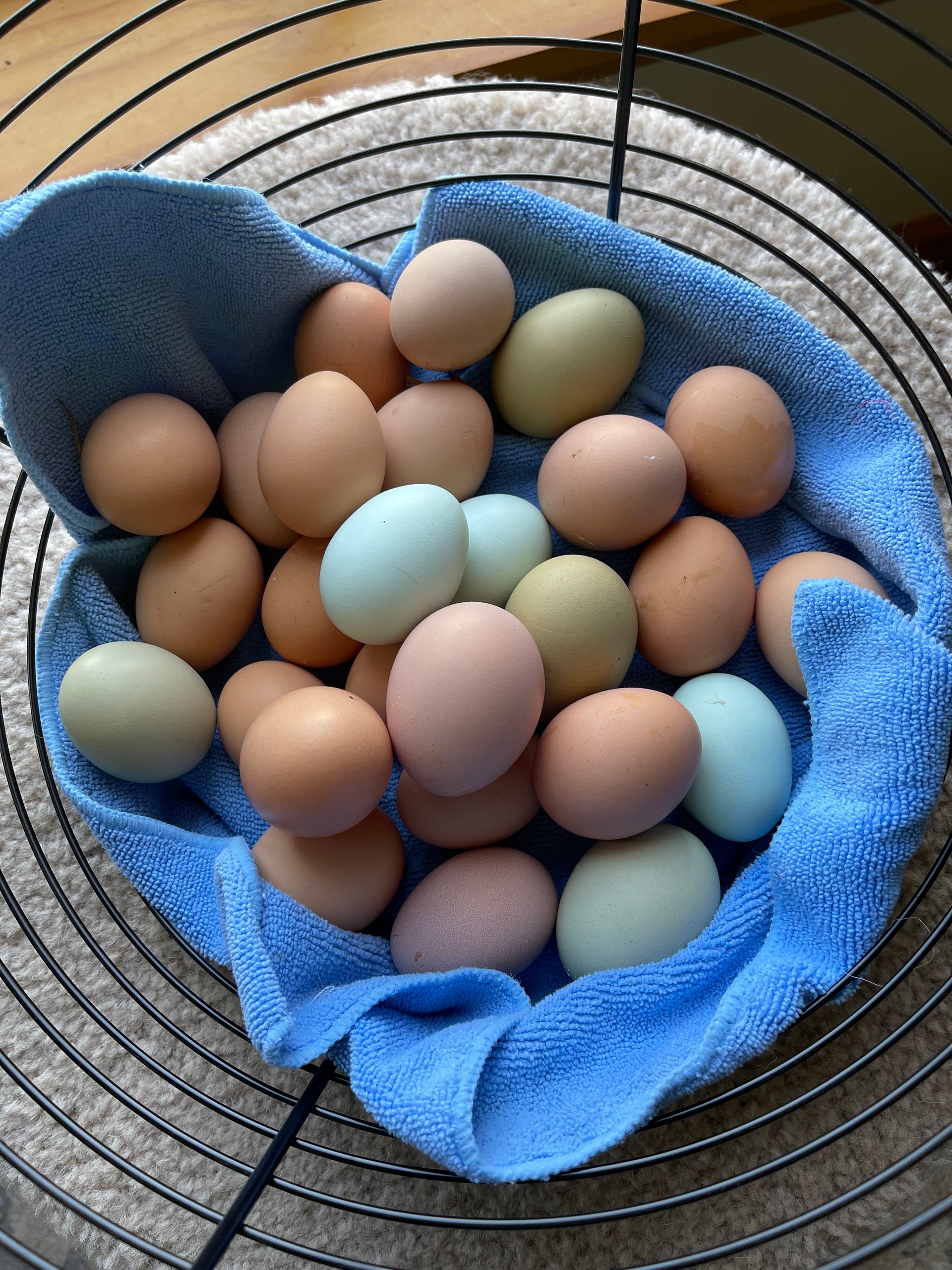 free-range-chicken-eggs-on-farmish