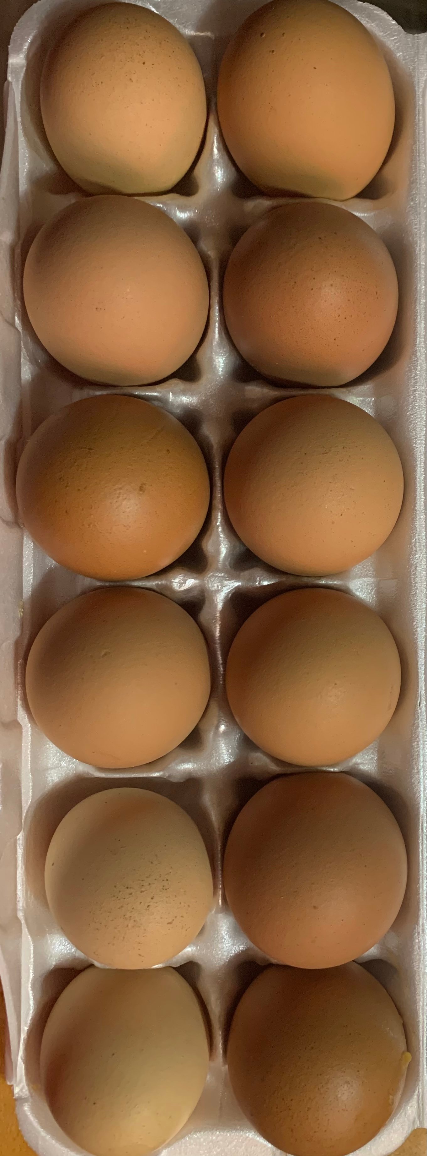 EggsDaily Nest Run on Farmish