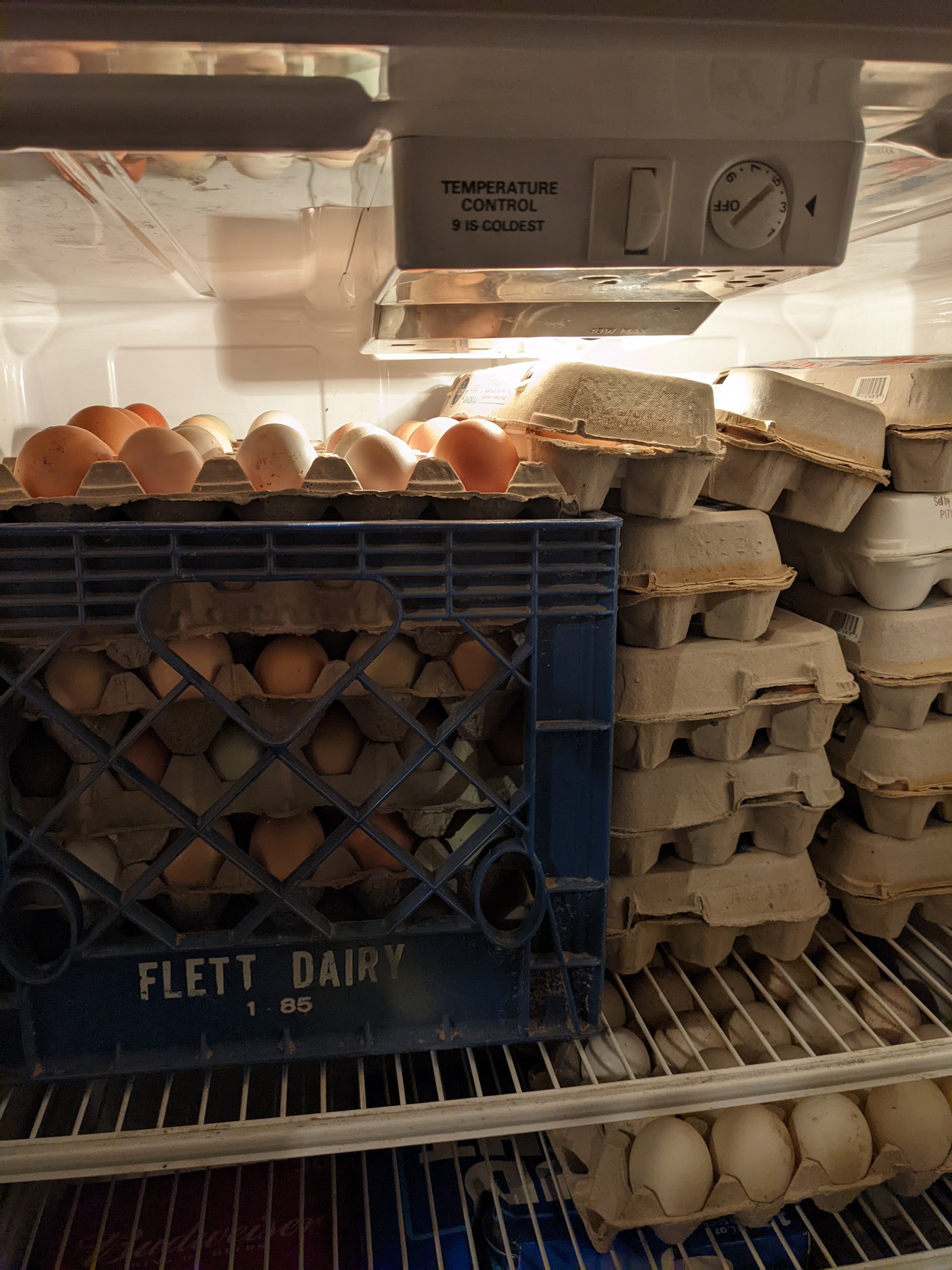 Nest run eggs on Farmish