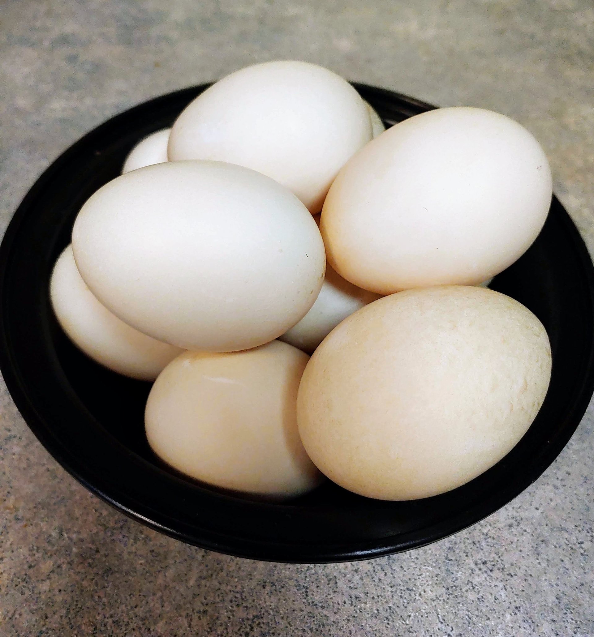 fresh-duck-eggs-on-farmish