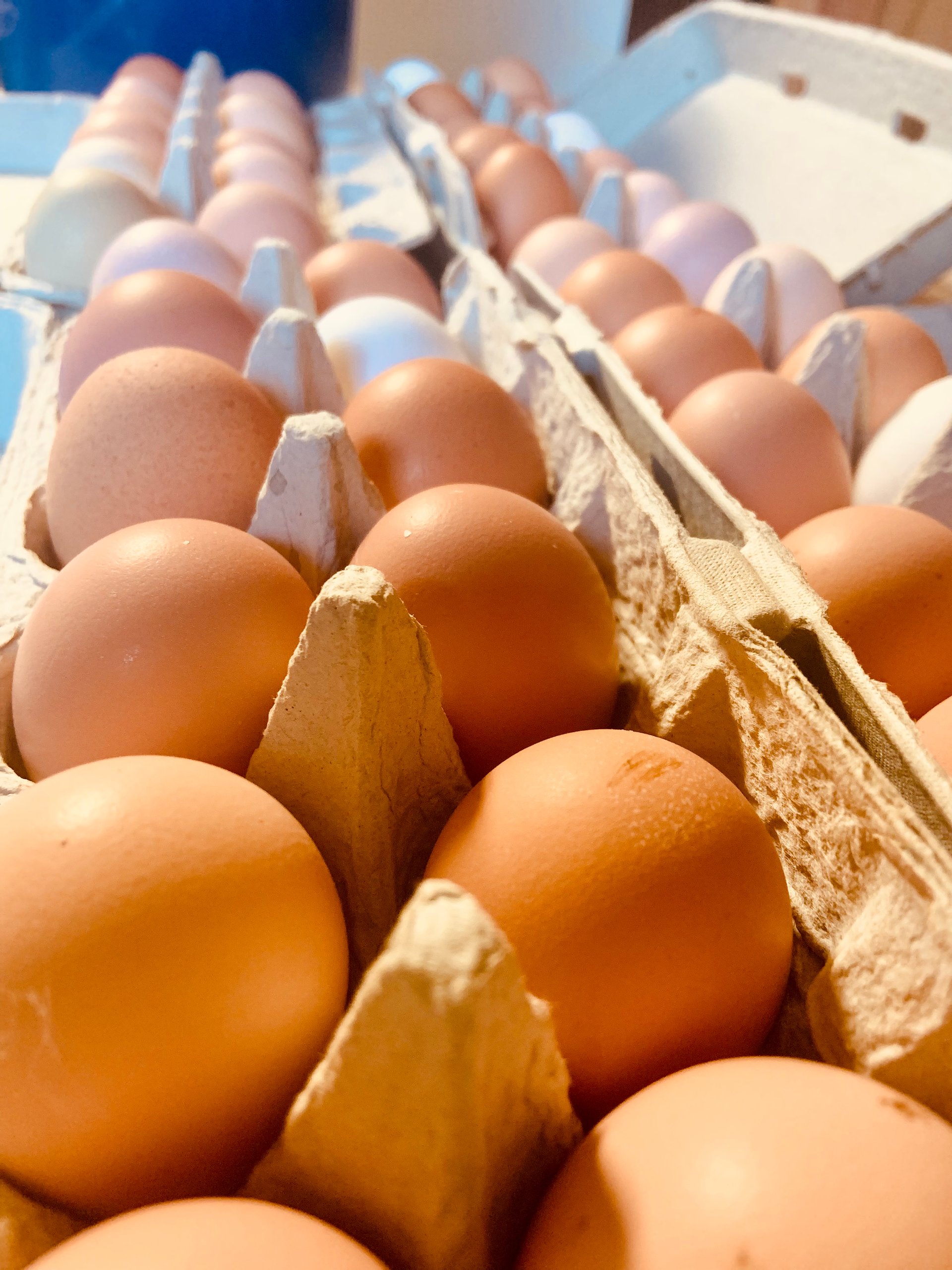 Pasture Raised Eggs on Farmish