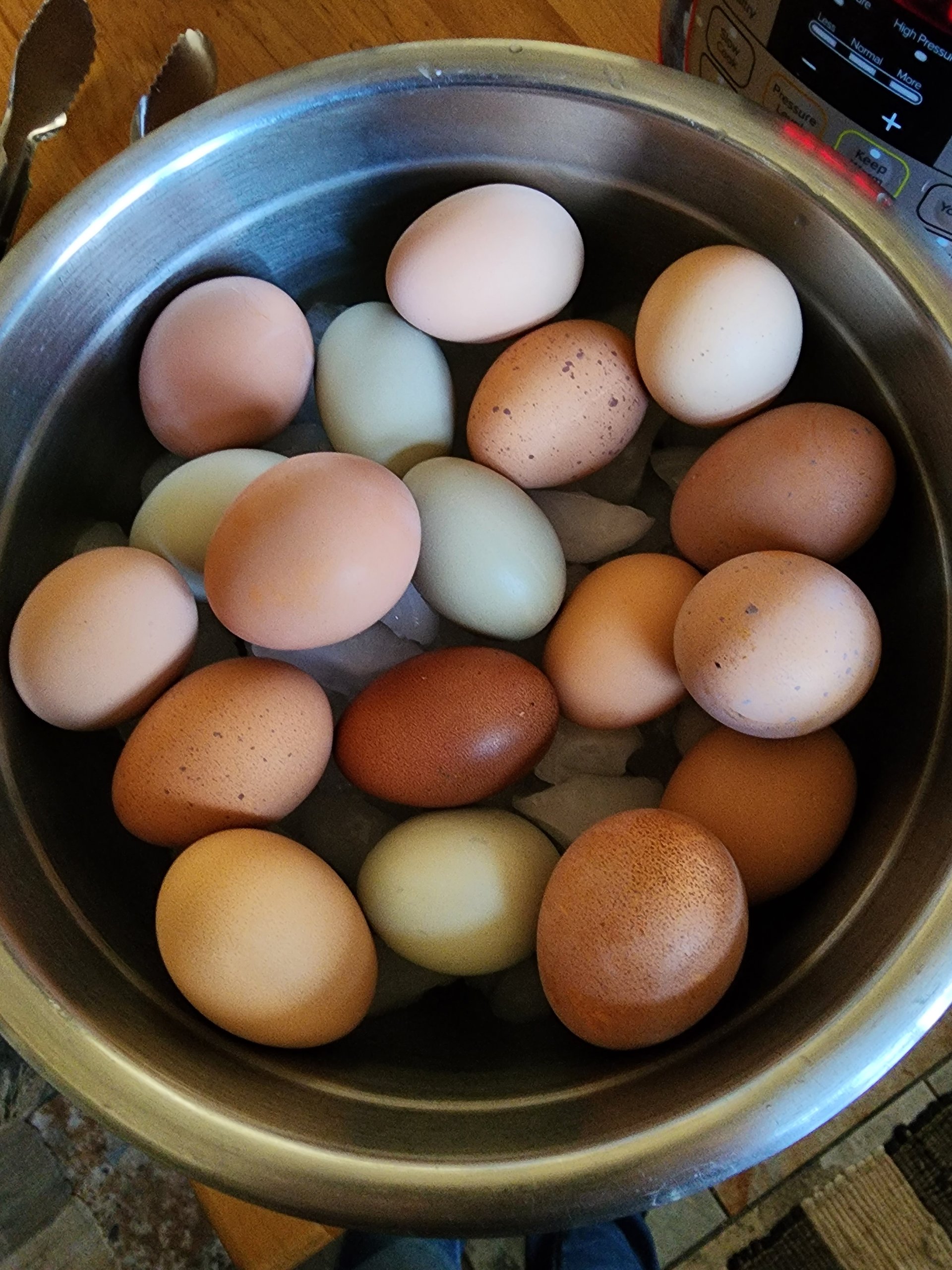 Farm fresh unwashed eggs on Farmish